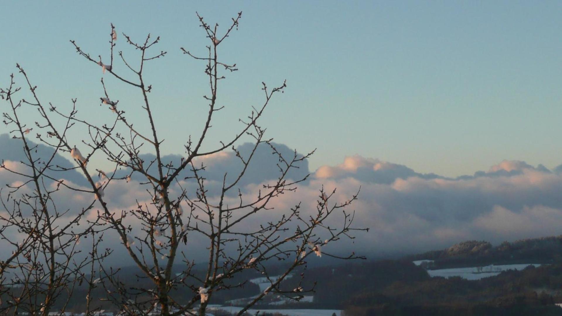 Ferienwohnungen Alpenblick Mit Garten -Panoramasauna- Kirchdorf im Wald المظهر الخارجي الصورة